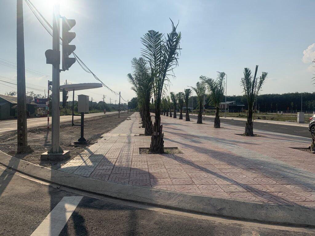 hình ảnh thực tế dự án new land bàu bàng kim oanh